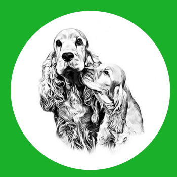 Cocker Spaniel Club of Central England